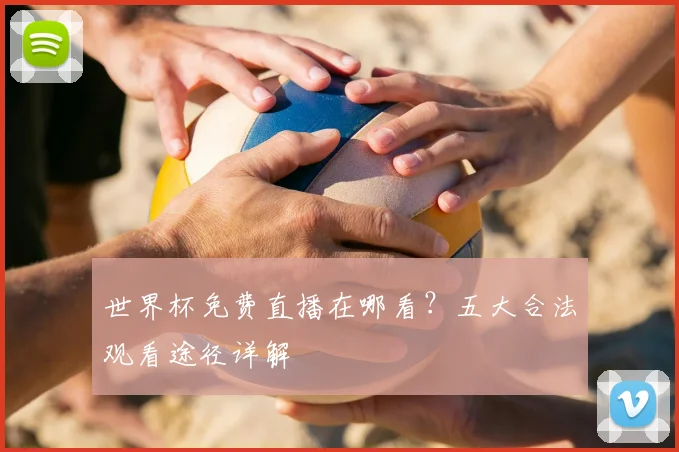 世界杯免费直播在哪看?五大合法观看途径详解