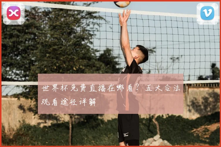 世界杯免费直播在哪看?五大合法观看途径详解