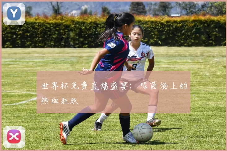 世界杯免费直播盛宴:绿茵场上的热血狂欢
