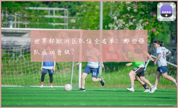 世界杯欧洲区队伍全名单:哪些强队成功晋级?