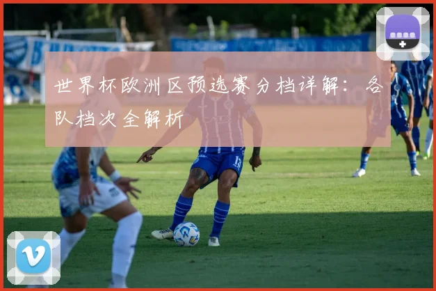 世界杯欧洲区预选赛分档详解:各队档次全解析