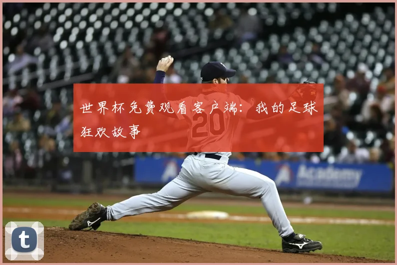 世界杯免费观看客户端:我的足球狂欢故事
