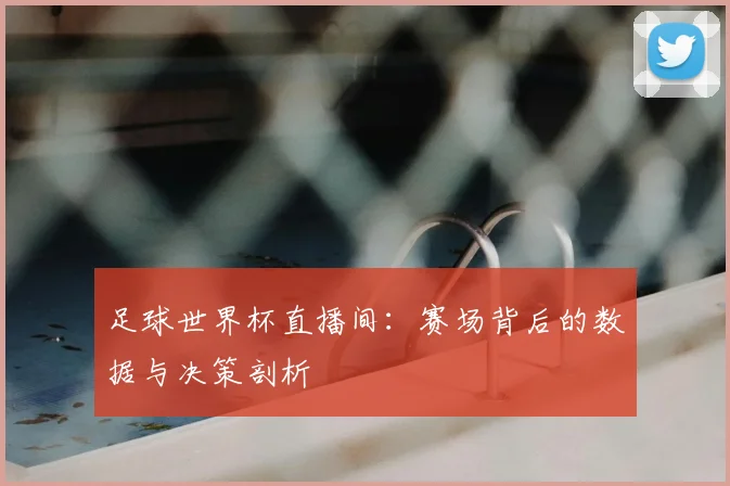 足球世界杯直播间：赛场背后的数据与决策剖析