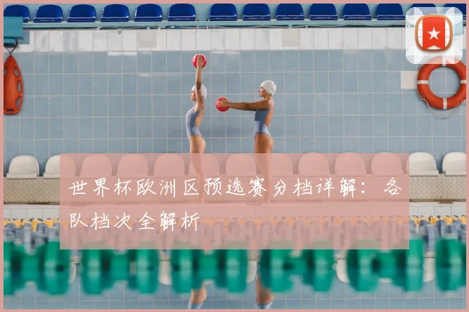 世界杯欧洲区预选赛分档详解：各队档次全解析