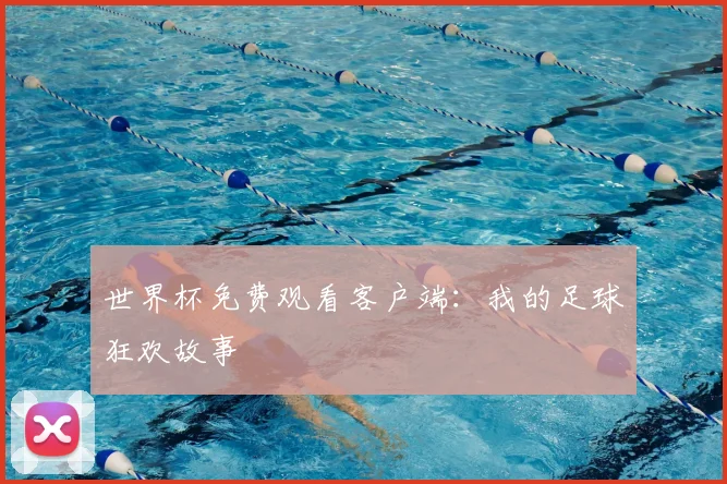 世界杯免费观看客户端:我的足球狂欢故事