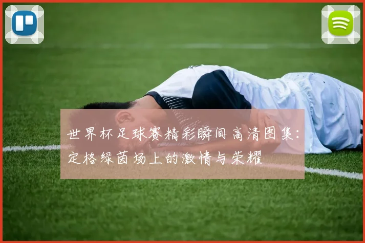 世界杯足球赛精彩瞬间高清图集:定格绿茵场上的激情与荣耀